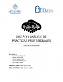 Diseño y análisis de practica profesional