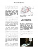 Recordando Afganistán