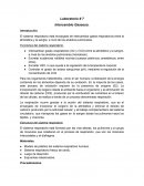 Intercambio gaseoso. Estructura del sistema respiratorio