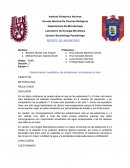 Poblaciones microbiana en aire