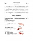 Primeros auxilios. HEMORRAGIAS