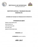 INFORME DE TRABAJO FACTIBILIDAD DE UN PROYECTO