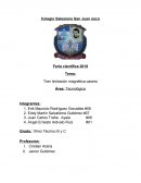 Tren levitación magnética casero