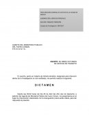 Dictamen en transito terrestre
