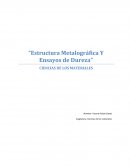 “Estructura Metalográfica Y Ensayos de Dureza” CIENCIAS DE LOS MATERIALES