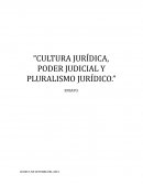 CULTURA JURÍDICA, PODER JUDICIAL Y PLURALISMO JURÍDICO