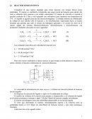 Reactor Semicontinuo