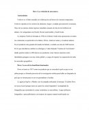 Dove: La evolución de una marca