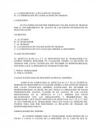 ASPECTOS GENERALES DEL DERECHO DEL TRABAJO. Página 46