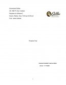 Proyecto final excel Galileo