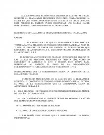 ASPECTOS GENERALES DEL DERECHO DEL TRABAJO. Página 49