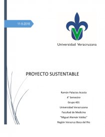 Proyecto sustentable: palomitas como material de embalaje. Página 1