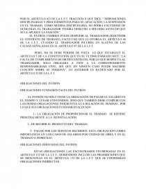 ASPECTOS GENERALES DEL DERECHO DEL TRABAJO. Página 13