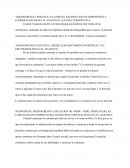 Analisis transferencia