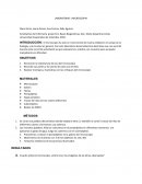 LABORATORIO 1 MICROSCOPIA