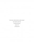 El niño, niña y adolescente desde un modelo ecológico