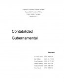 Contaduría Pública. Contabilidad gubernamental