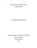 Analisis Política Pública de Primera Infancia