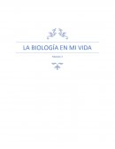 LA BIOLOGÍA EN MI VIDA