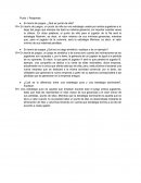 En teoría de juegos, ¿Qué es punto de silla?