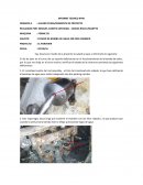 Modelos Mixtos de la gestión de mantenimiento