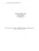 Proyecto Final “Reflexión” - Video