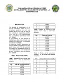 EVALUACIÓN DE LA PÉRDIDA DE PESO