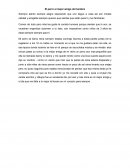 El perro el mejor amigo del hombre