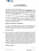 CARTA DE COMPROMISO PRÁCTICAS PRE PROFESIONALES