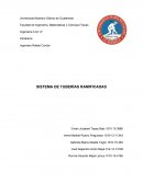 SISTEMA DE TUBERÍAS RAMIFICADAS