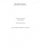 adecuando un terreno Trabajo colaborativo – Matemática virtual