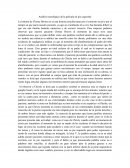 Análisis neurológico de la película mi pie izquierdo