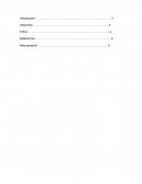 RECONOCIMIENTO DEL CONTEXTO Zimag logistic. S.A. de C.V.