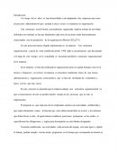 Estructura organizacional empresa de exportación e importación de mercancías