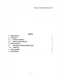 SISTEMA DE TUBERÍAS RAMIFICADAS. Página 2