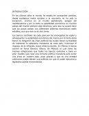 ENSAYO BANXICO Y POLÍTICA MONETARIA