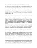 Libro La Momia del Salar