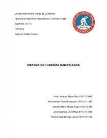 SISTEMA DE TUBERÍAS RAMIFICADAS. Página 1