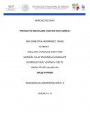 Producto innovador (Vestido con gorra)