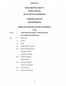 CARACTERISTICAS FISICAS Y ESTRUCTURACION DE LAS PARTICULAS MINERALES