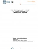 Enfermeria fundamental. Las dimensiones del cuidado