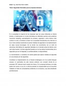 Seguridad informática para la empresa boliviana