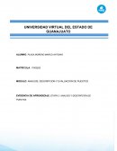 Analisis y descripcion de puestos. Caso El ingeniero Enrique González