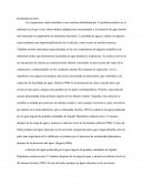 REGULACION RENAL DEL EQUILIBRIO ELECTROLITICO EN MAMIFEROS (RATAS) ”