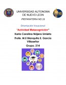 Orientación Vocacional “Actividad Metacognición”
