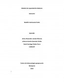 Modelo De Capacidad De Madurez