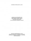 INFORME DE INTRDUCCIÓN A LA MVZ