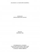 LOS SUELOS Y LA VEGETACIÓN AMAZÓNICA