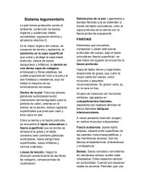 Sistema tegumentario. La piel brinda protección contra el ambiente. Página 1