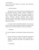 Perfil del Medico Graduado en la UNAH